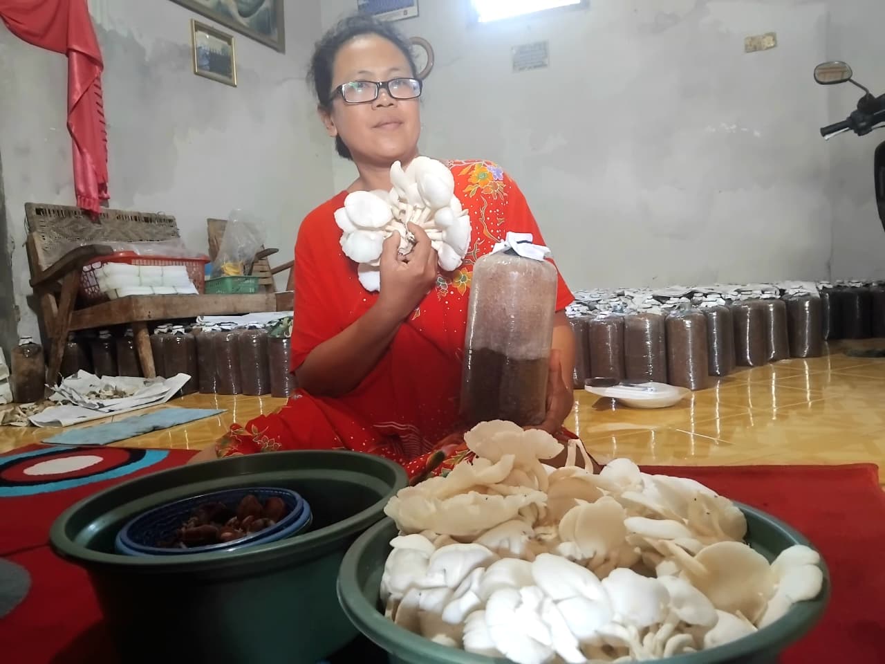 SUKSES: Fitria menunjukkan hasil panen jamur tiram di rumahnya.