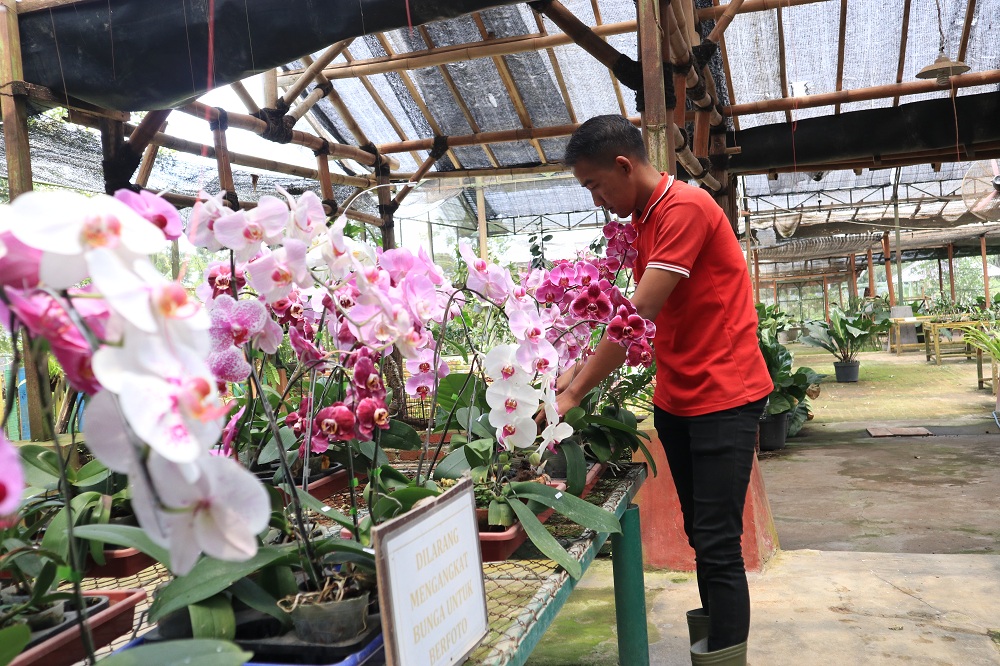 Kondisi Kampung Anggrek pasca pandemi Covid-19.