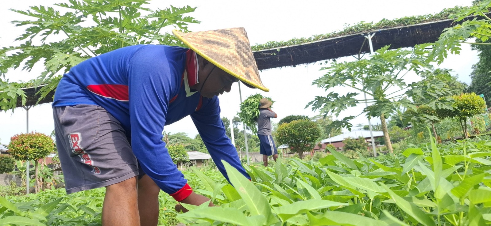 Narapidana Lapas Kelas II A Kediri menjalani masa pembinaan di SAE LAKULI.