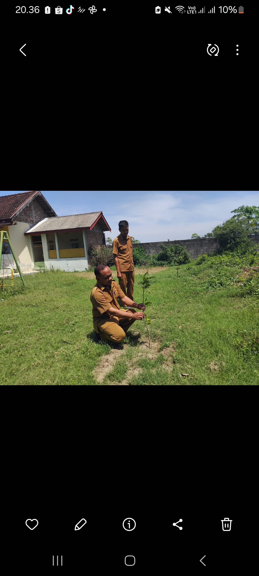 Aksi tanam pohon Desa Balongjeruk (Diana Yunita Sari)