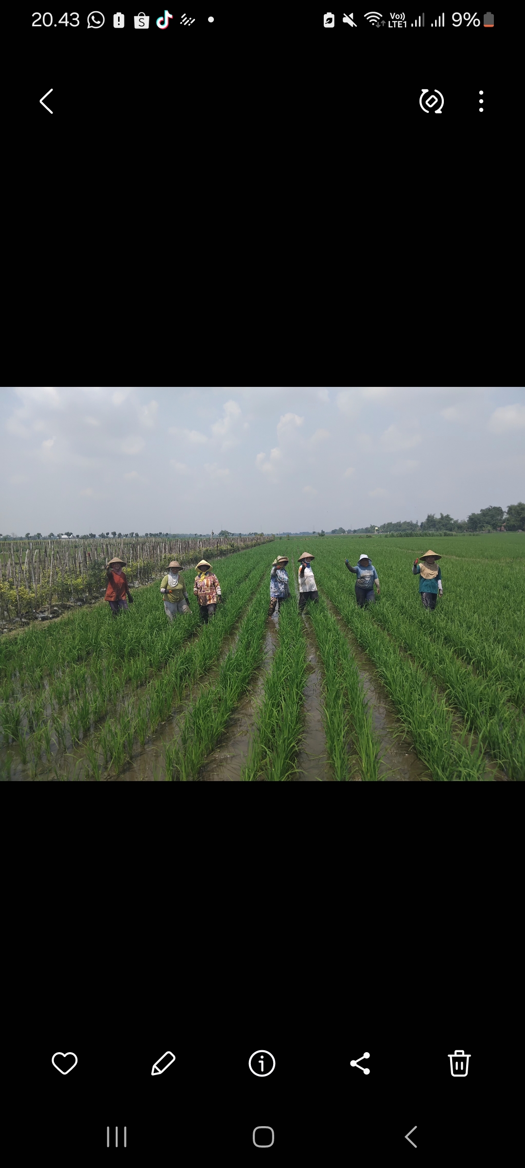 Praktik lapangan pertanian Desa Mojokerep (Diana Yunita Sari)