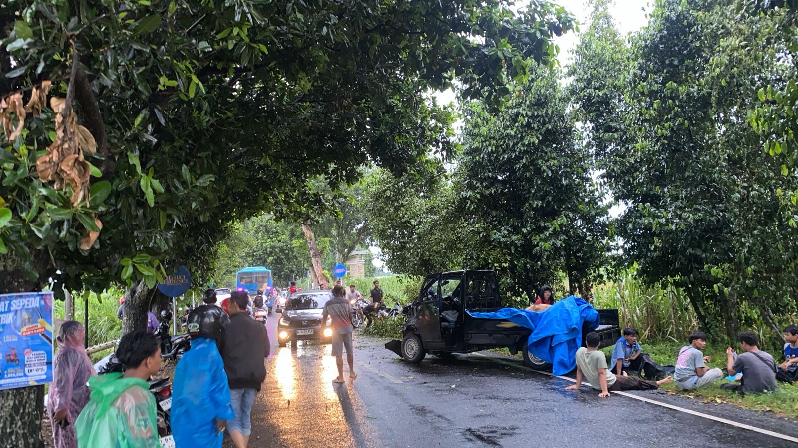 NAHAS: Pohon melinjo tumbang menimpa pikap yang melintas di Jalan Desa Kranggan-Wonojoyo, Gurah usai diterjang angin kencang.