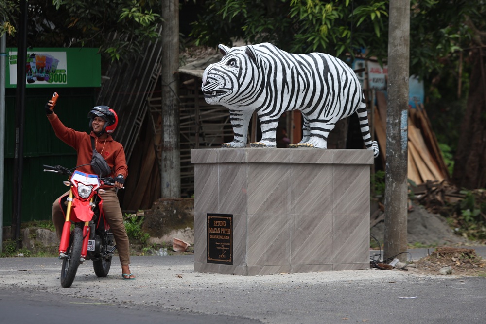 Viral Patung Macan  Putih Balongjeruk