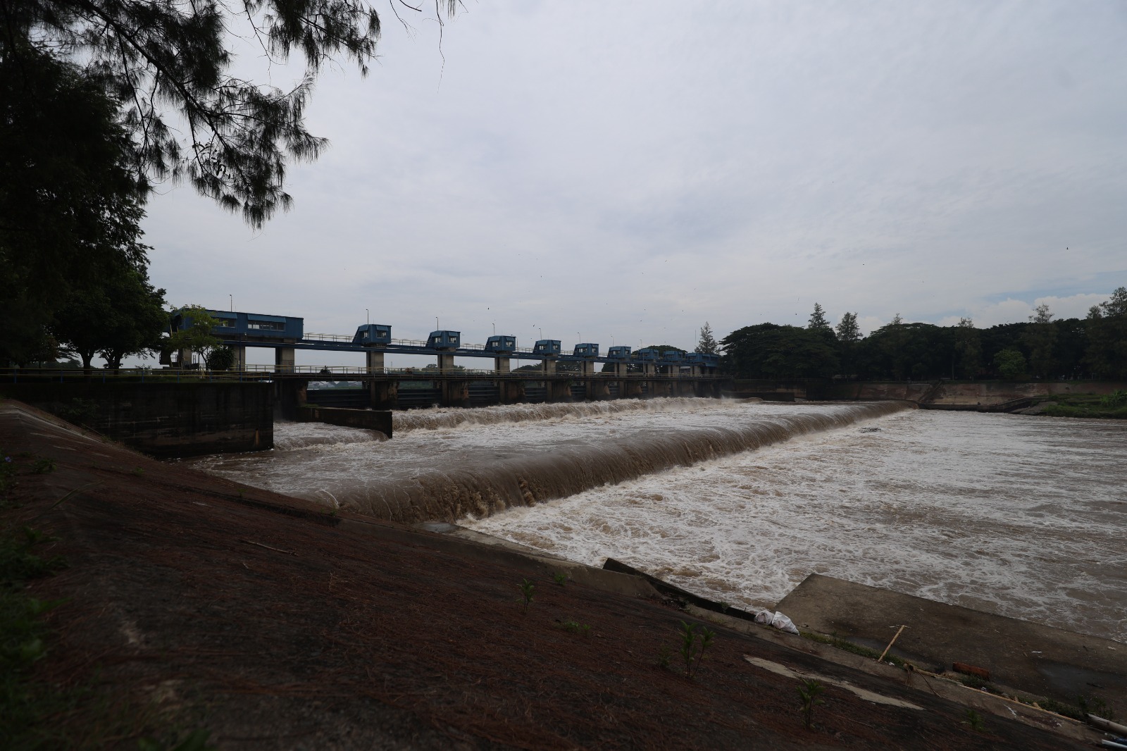 Lebih dari seribu runners akan berlari di area Bendung Gerak Waru Turi dalam Waru Turi Fun Run 2026 pada 15 Februari mendatang.