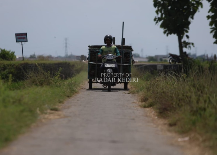 DANA DESA: Ilustrasi pengendara melintas areal persawahan yang ada di Desa Putih, Kecamatan Gampengrejo. (Foto: Wahyu Adji)