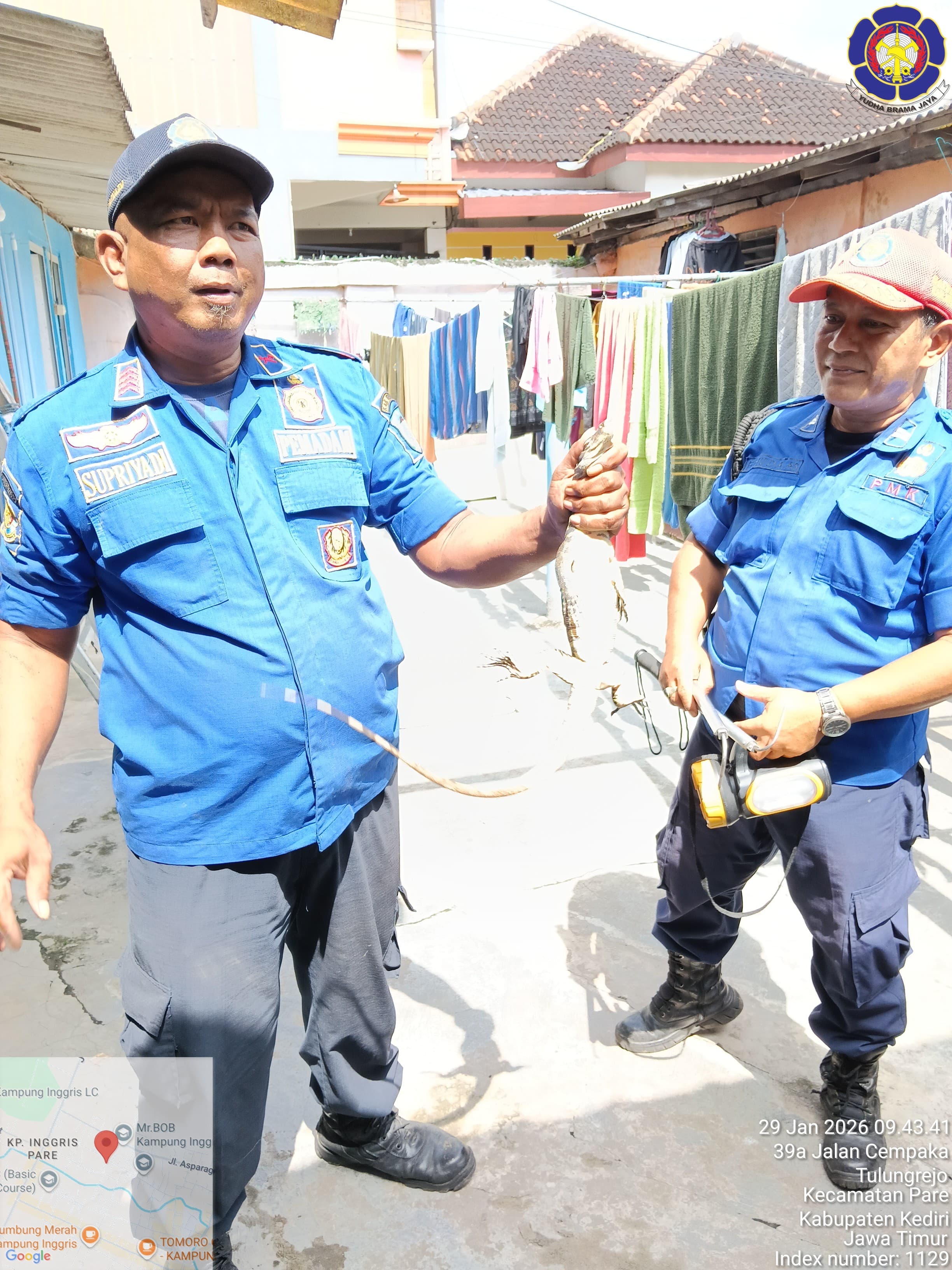 Petugas Damkar Pos Pare lakukan evakuasi biawak di Pare