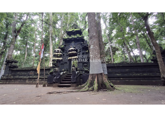 Suasana Situs Kawitan, Alas Purwo Banyuwangi. Situs ini dikenal akan kemagisannya. Masyarakt percaya bahwa situs ini jadi gerbang Alas Purwo. (Foto: Asad MS)