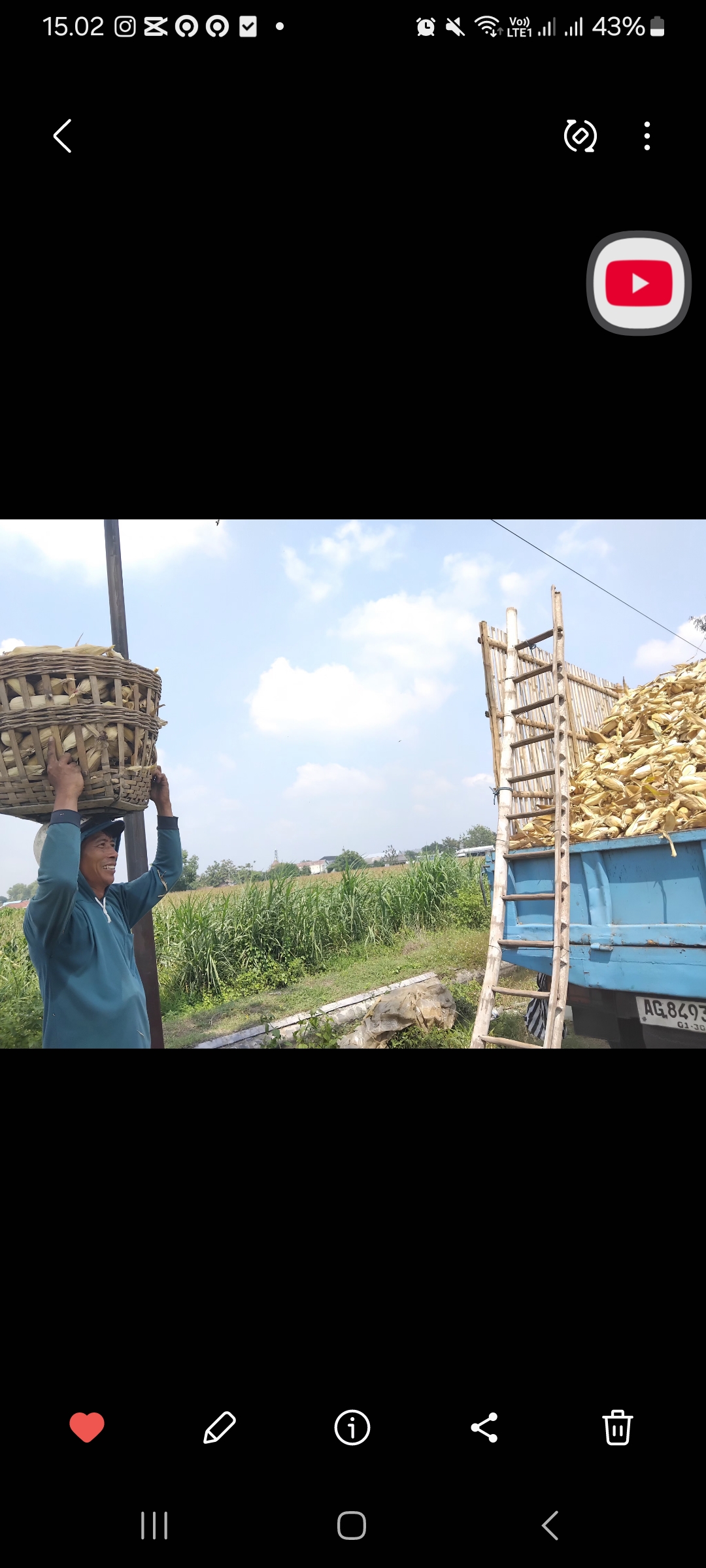 Petani jagung membawa hasil panenannya (Diana Yunita Sari/JPRK)
