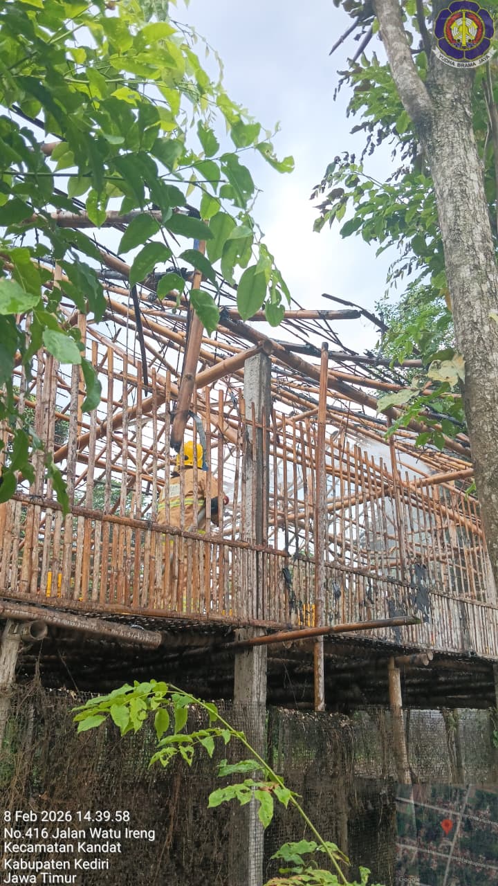 Kandang ayam di Kandar Kediri ludes terbakar.