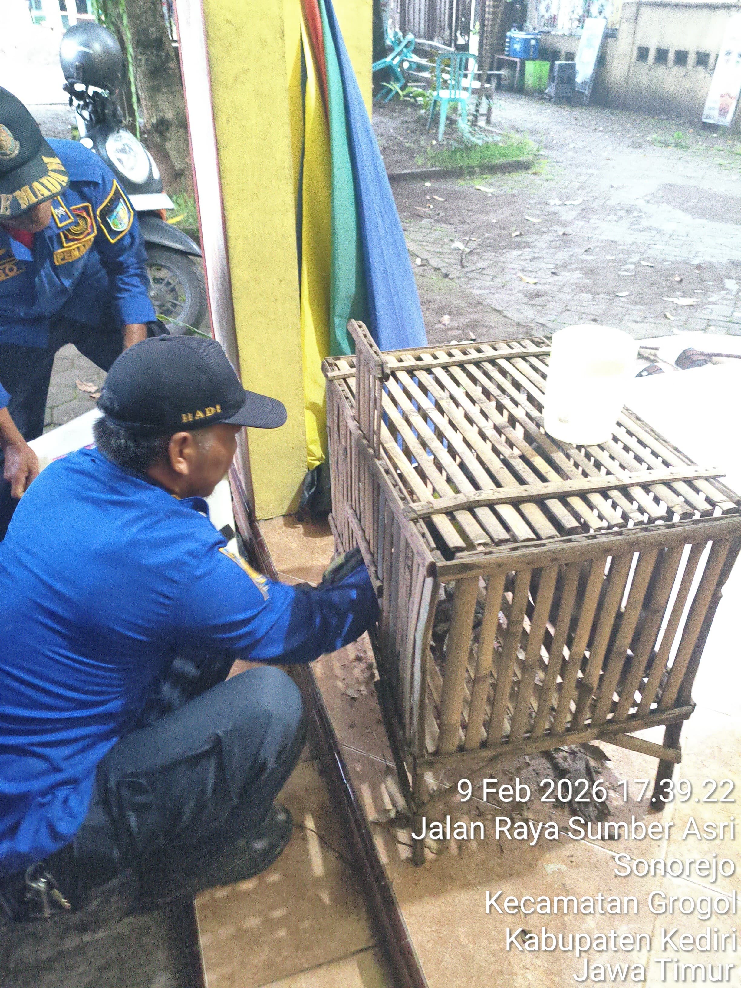 Petugas damkar sedang menangkap musang yang masuk di kandang ayam warga  (foto: damkar Kabupaten Kediri)