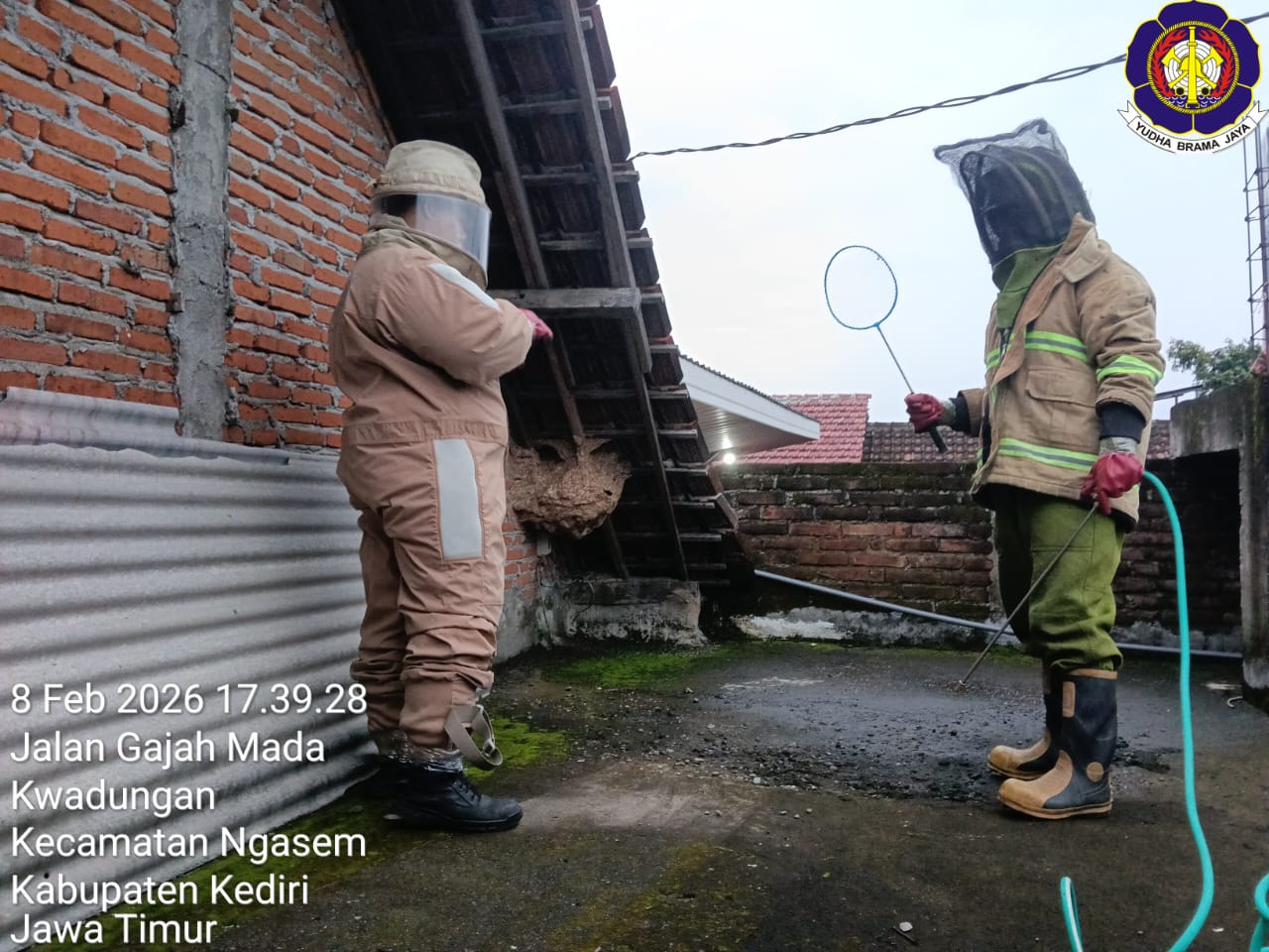 Petugas damkar melakukan evakuasi tawon di Ngasem (Foto Damkar Kabupaten Kediri)