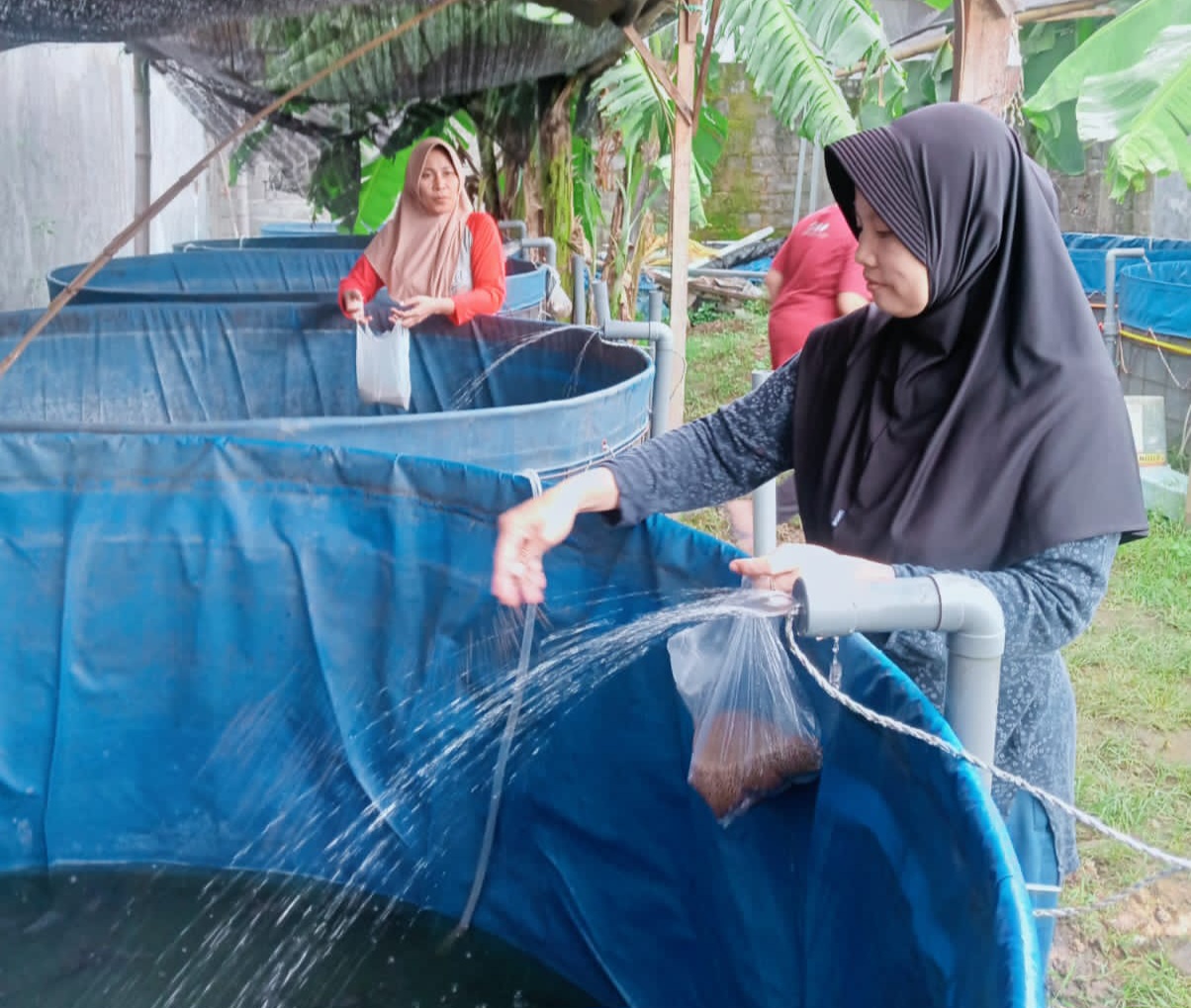 Anggota KWT memberi pakan lele hasil budidaya (Diana Yunjta Sari)