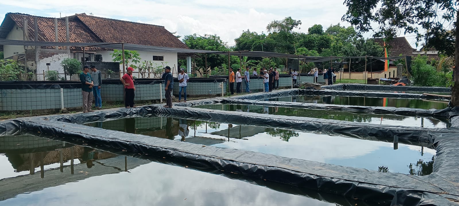 PRODUKTIF: Pembudidaya ikan lele di Kabupaten Kediri merawat kolamnya. 