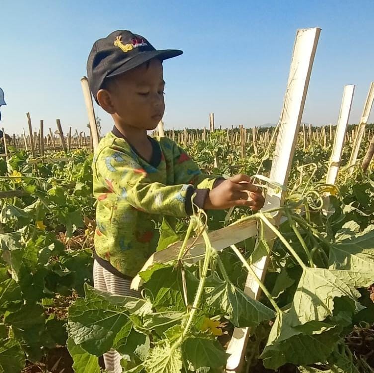 Anak kecil memetik melon di Desa Sumberduren (Diana Yunita/JPRK) 