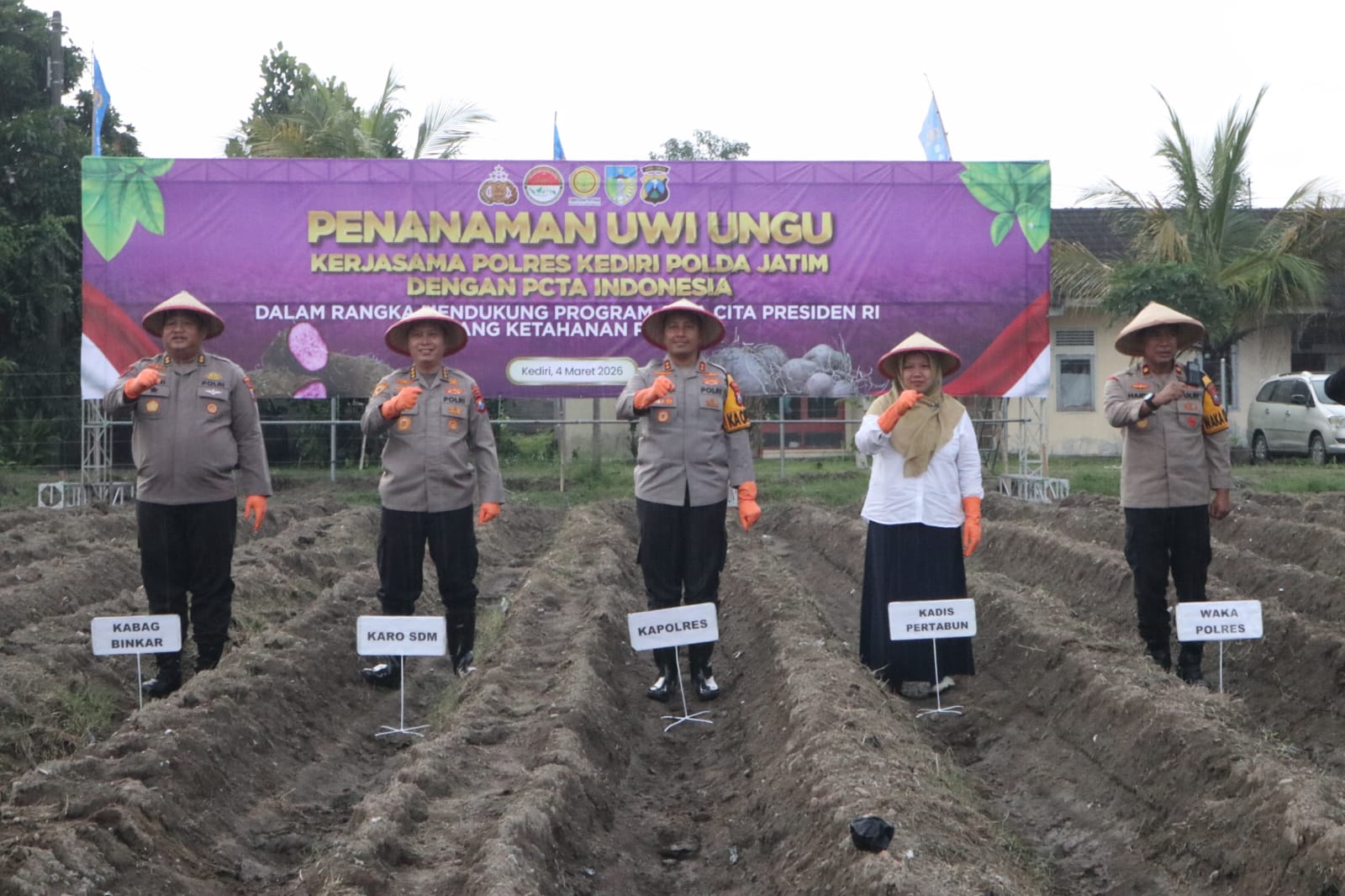 Karo SDM Polda Jatim, Kapolres Kediri dan jajaran melaksanakan penanaman uwi ungu di lingkungan Polsek Wates.