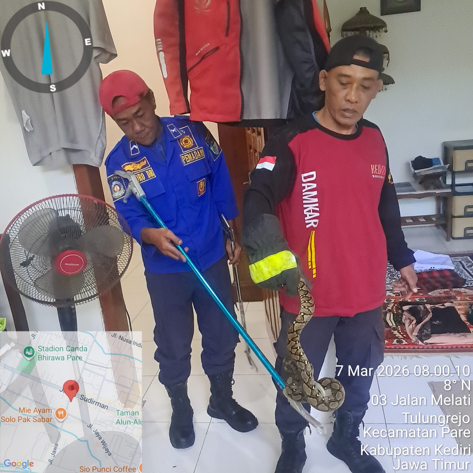 Damkar evakuasi ular sanca yang masuk ke rumah warga (Foto: Damkar Kabupaten Kediri untuk JPRK)