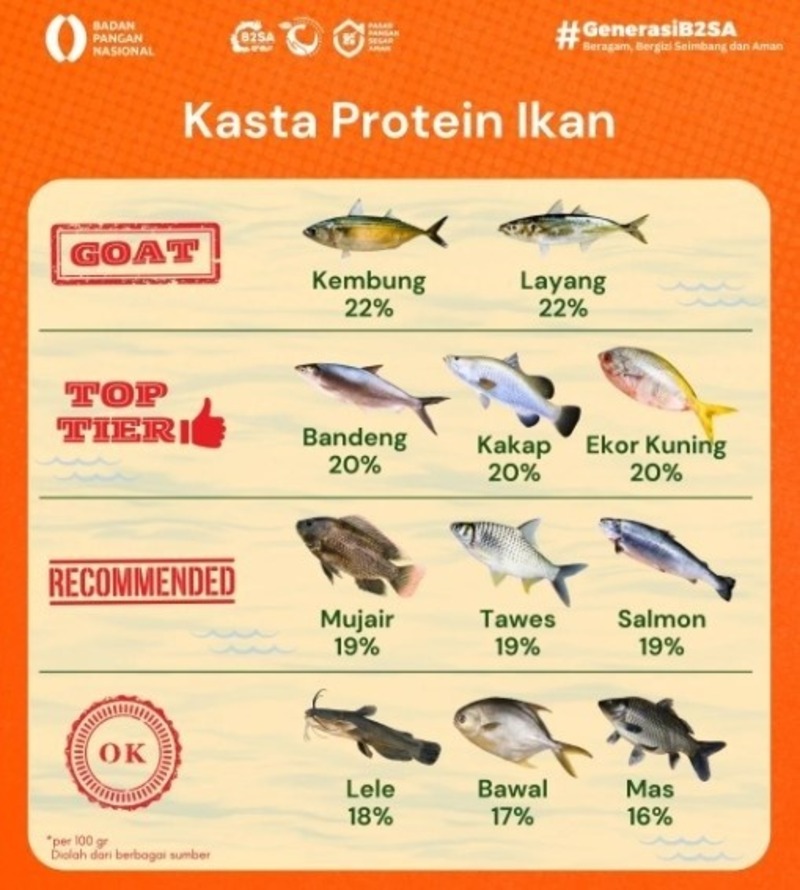 Kasta Protein Ikan Menurut Badan Pangan Nasional (BPN)