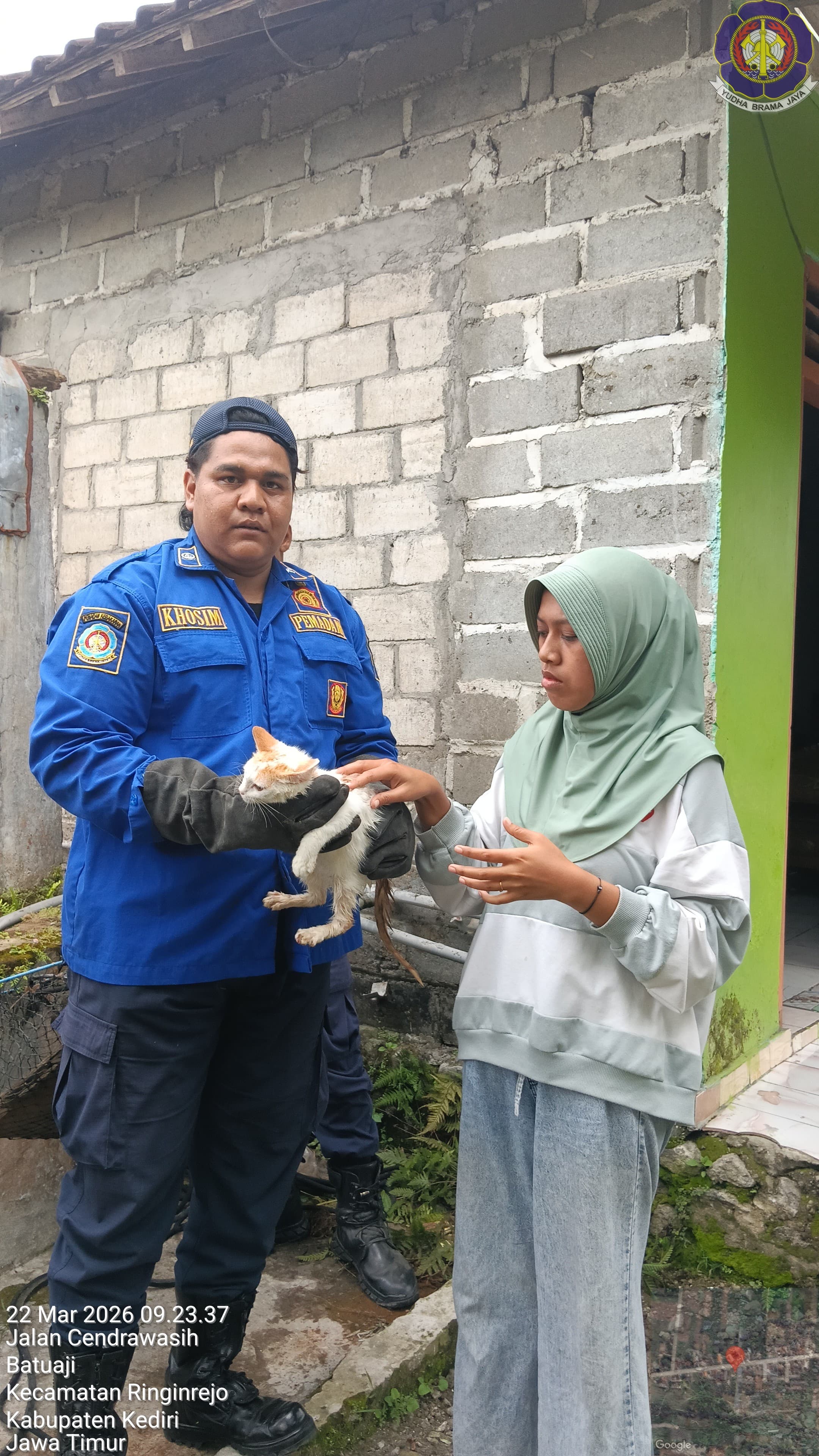 Petugas Damkar berhasil mengevakuasi kucing yang tercebur sumur 