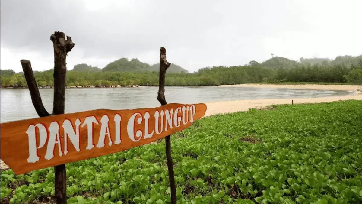Pantai Clungup Malang Selatan (tangkapan layar)