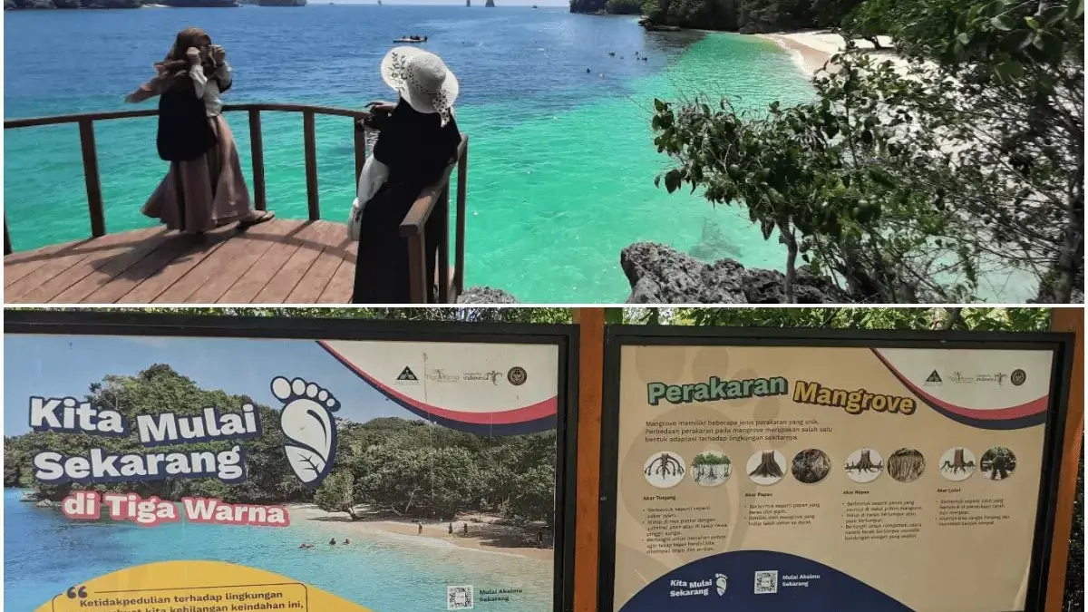 Pantai Tiga Warna Malang Selatan (tangkapan layar Maps Pantai Tiga Warna)