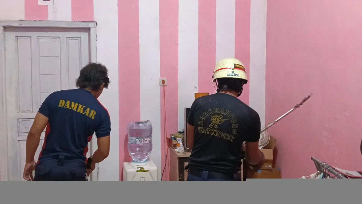 Petugas Damkar Evakuasi Ular Kobra di Rumah Warga Sumberbendo Pare
