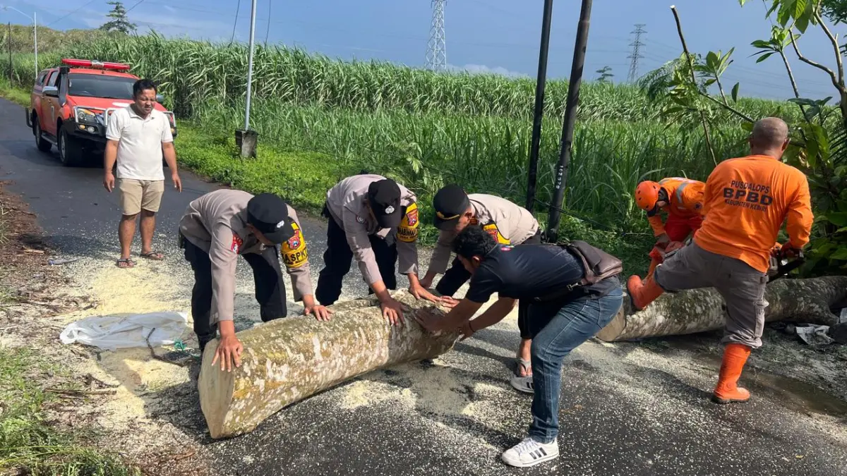 Polsek Ngadiluwih eksekusi laporan warga terkait pohon tumbang di Desa Rembang