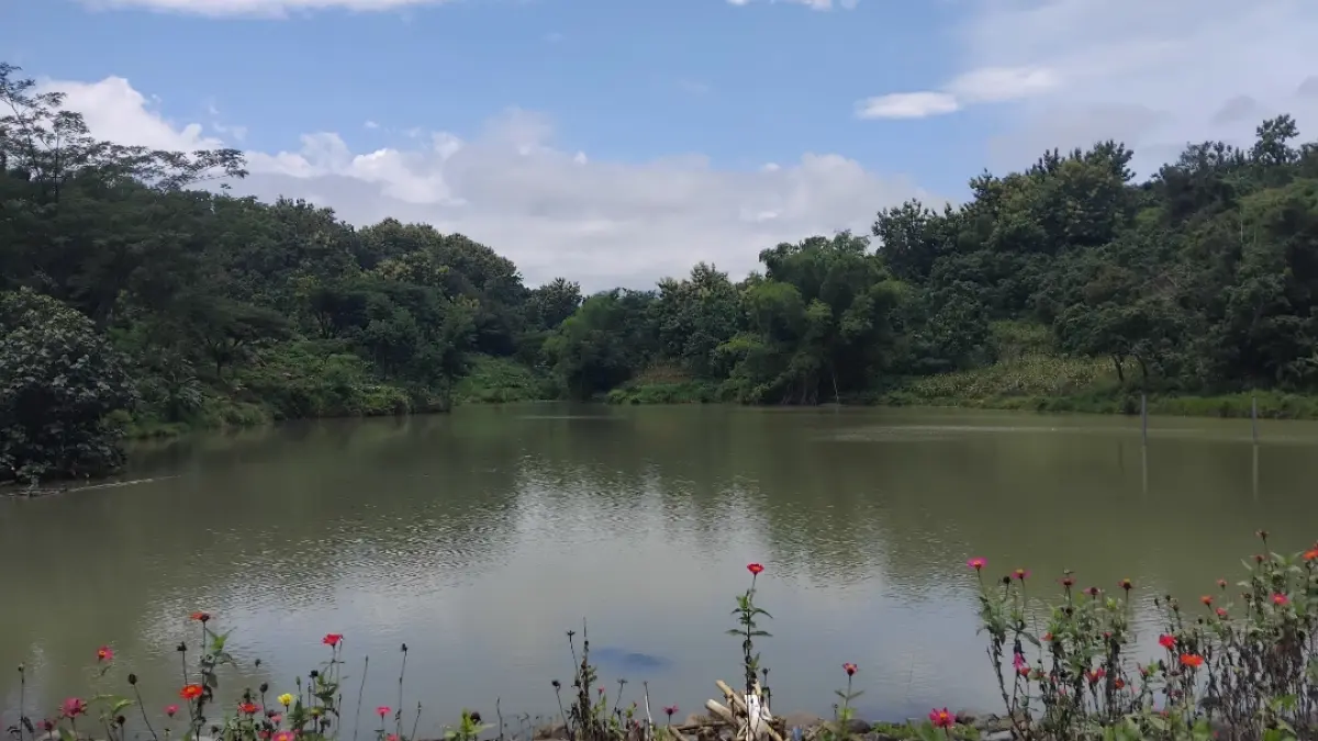 Potensi wisata Desa Tarokan, Embung Guworejo (Diana Yunita)