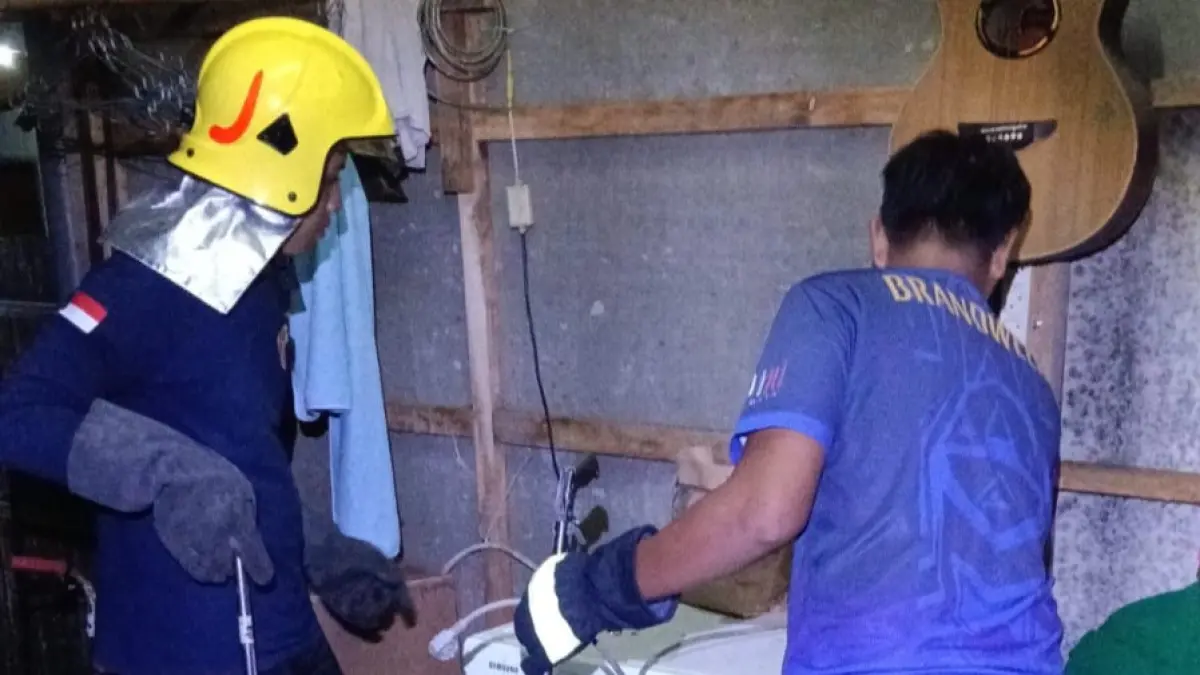 Proses evakuasi ular berbisa di Desa Mojo oleh petugas Damkar
