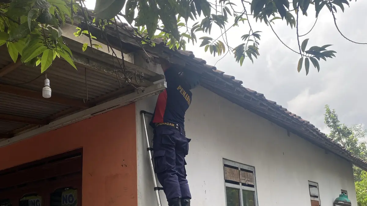 Petugas lakukan evakuasi kucing yang terjebak di plafon warga Desa Bogem Gurah