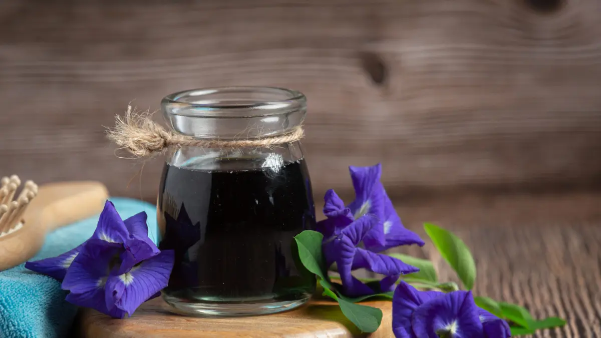 Manfaat Bunga Telang