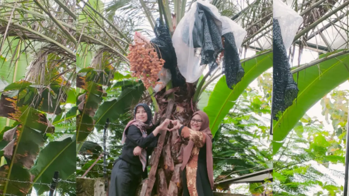 Umi Farida dan pohon kurma (Foto: Dok. Umi Farida)