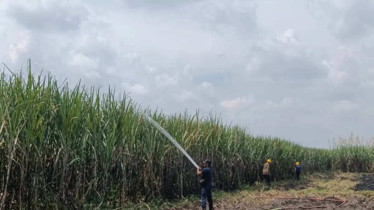 Damkar melakukan pemadaman di lahan tebu warga Desa Tales Ngadiluwih