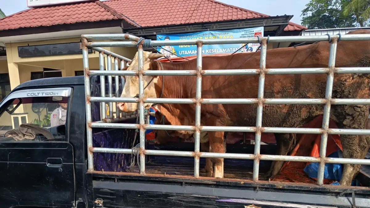Barang bukti mobil pikap yang digunakan mengangkut sapi curian warga Ngancar