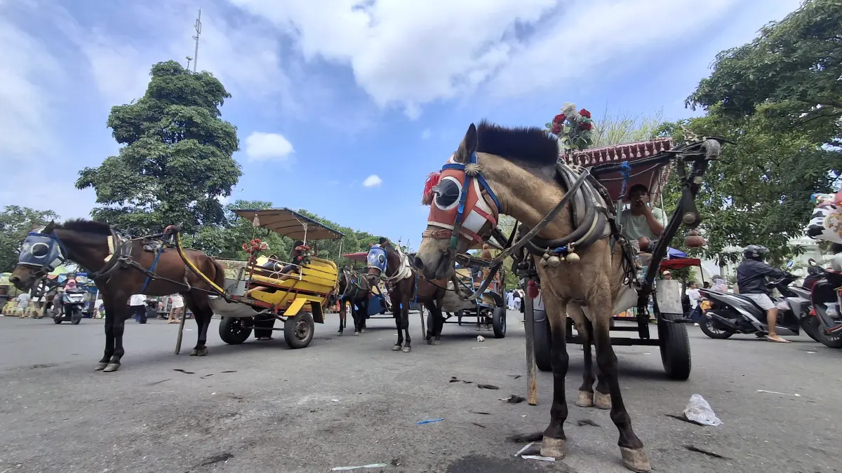 
PERLU PENATAAN: Keberadaan andong atau dokar di SLG dikeluhkan pengunjung dan pedagang karena kencing dan kotorannya tidak ditampung hingga membuat kawasan SLG bau pesing. (Foto: Asad M.S)