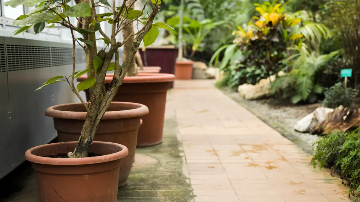 Ide Taman Minimalis di Rumah (magnific)