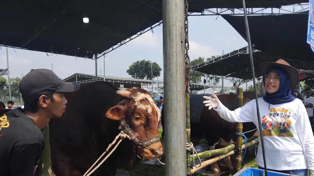 PASOKAN AMAN: Plt Kepala DKPP Kabupaten Kediri Tutik Purwaningsih mengecek sapi saat kontes ternak di Lapangan Desa Wonorejo, Kecamatan Wates.