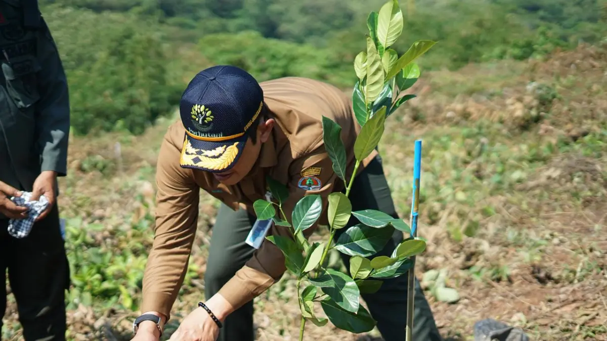 Perum Perhutani menegaskan langkah konkret dalam menjaga kelestarian hutan melalui berbagai program berkelanjutan yang terintegrasi dengan upaya mitigasi bencana dan pemberdayaan masyarakat sekitar hutan. (Foto: Dok. Perum Perhutani)