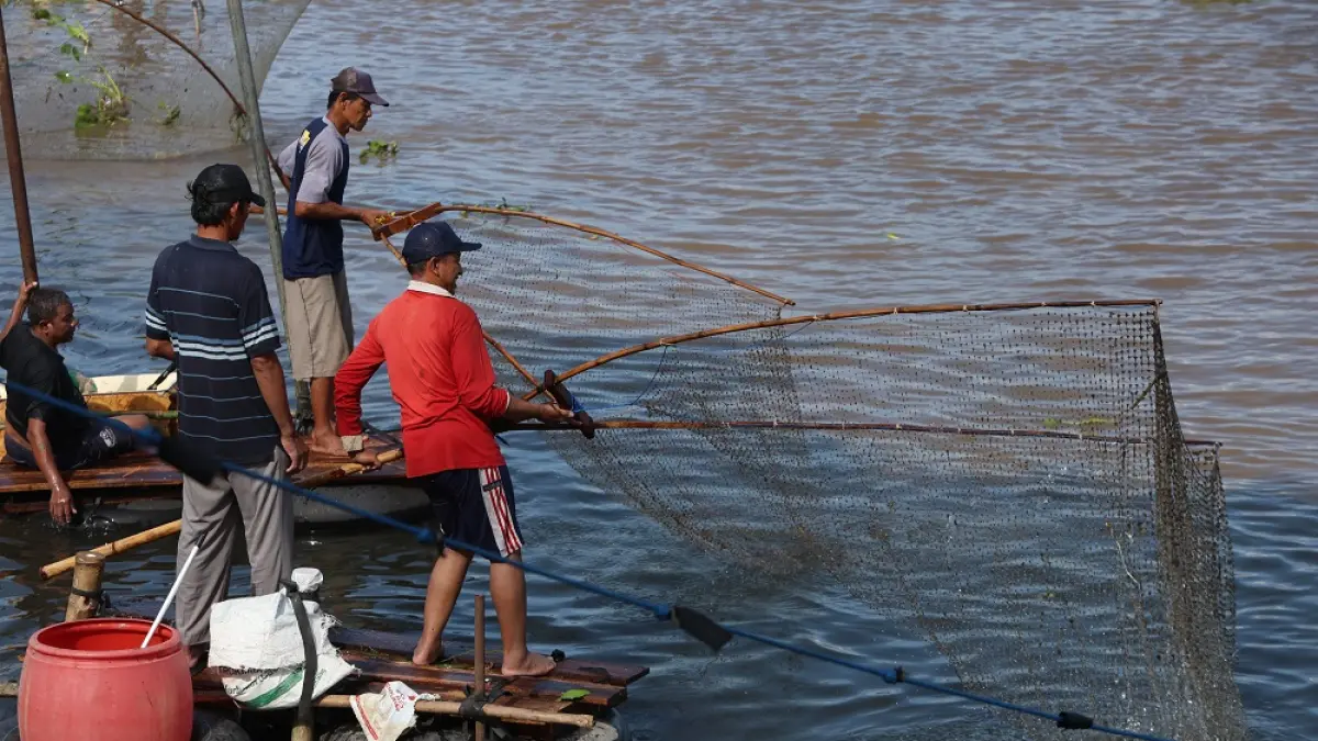 Saat pladu 2025, masyarakat berbondong bondong mencari ikan di Sungai Brantas. (Foto Wahyu Adji)