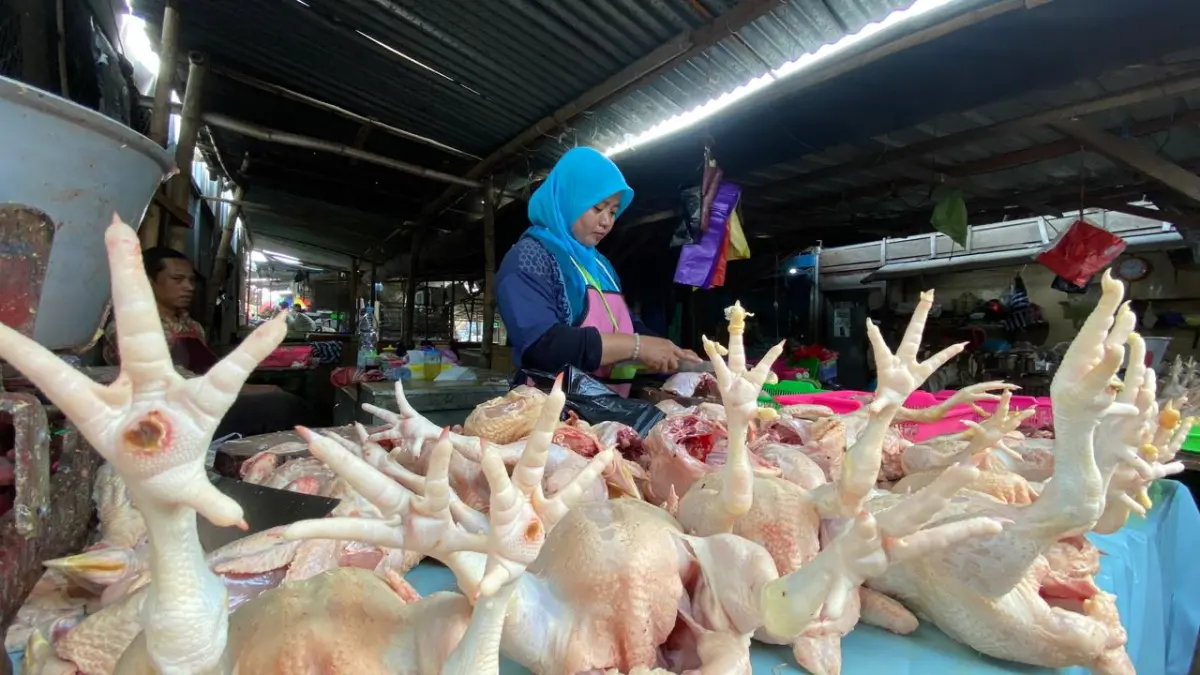 MEROKET: Siti Munawaroh, pedagang ayam potong di Pasar Setonobetek melayani pembeli. (HILDA NURMALA RISANI/JPRK)