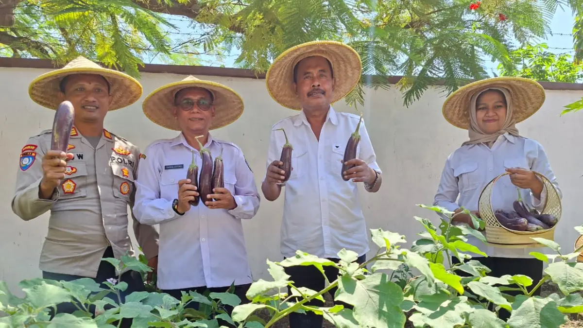 Jajaran Cabdin melakukan panen raya sayur terong di lahan kosong