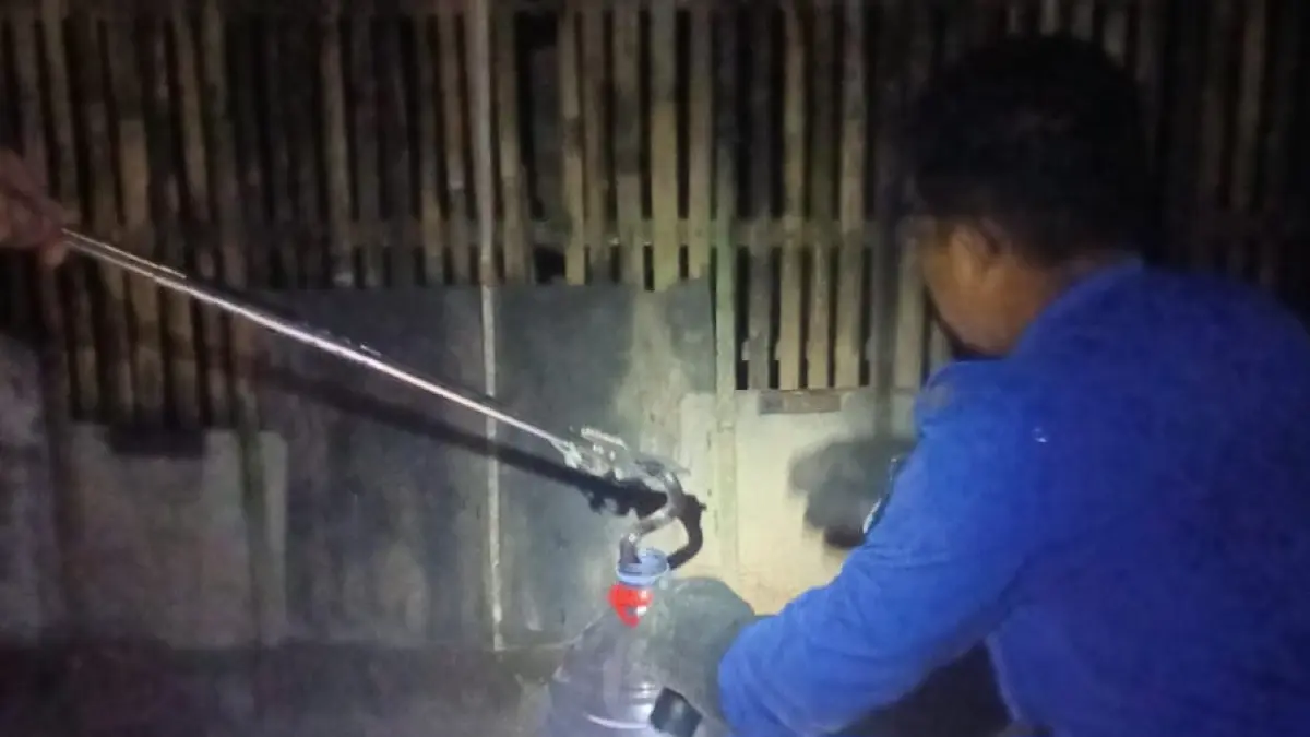 Petugas Damkar Kabupaten Kediri lakukan evakuasi ular kobra di Kecamatan Ngadiluwih