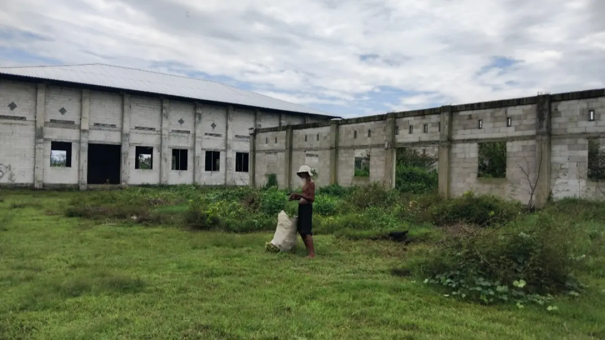 Seorang warga mencari rumout di depan proyek gedung Desa Semen (Diana Yunita)
