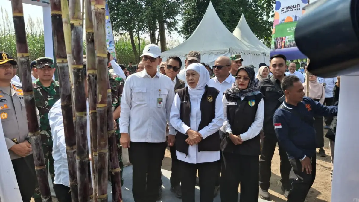 Gubernur Jawa Timur Khofifah Indar Parawansa (tengah) melakukan tanam tebu di Kebun TR PG Ngadirejo di Ngletih, Kandat.