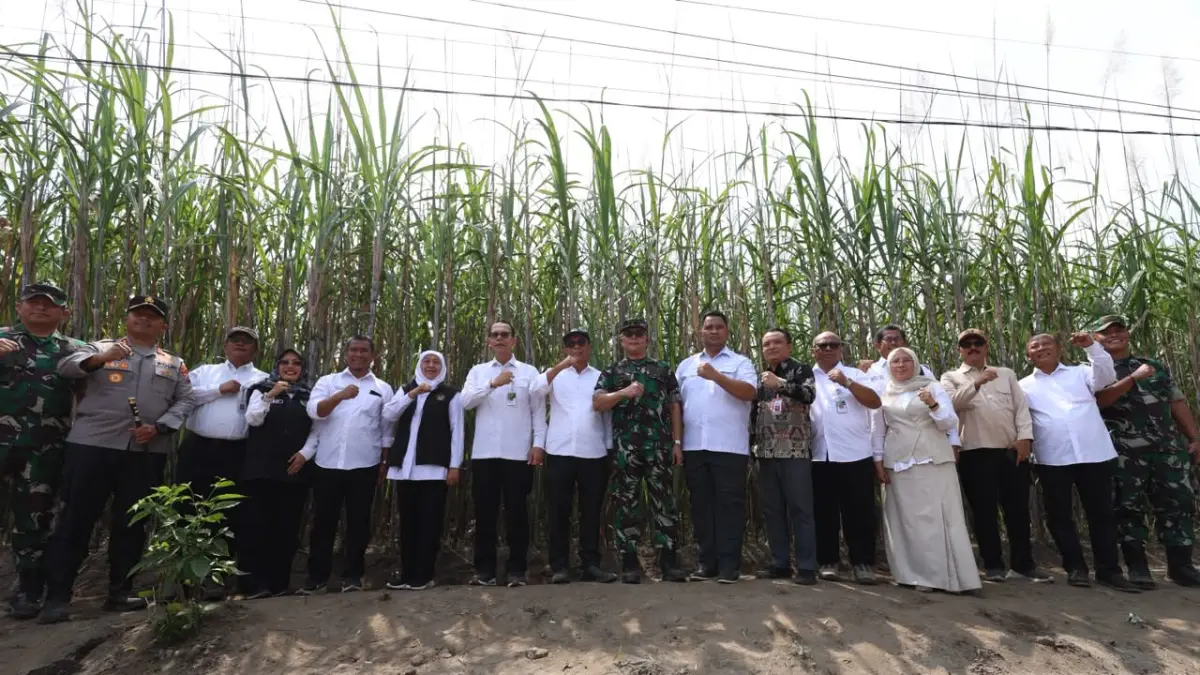 DUKUNG SWASEMBADA GULA: Gubernur Jatim Khofifah Indar Parawansa (6 dari kiri), Wakil Bupati Dewi Mariya Ulfa (4 dari kiri), dan Plt Kepala Dispertabun Kabupaten Kediri Sukadi (2 dari kanan) bersama sejumlah pejabat yang hadir bertekad menyukseskan program bongkar ratoon untuk meningkatkan produksi gula nasional. (Foto: Wahyu Adji)