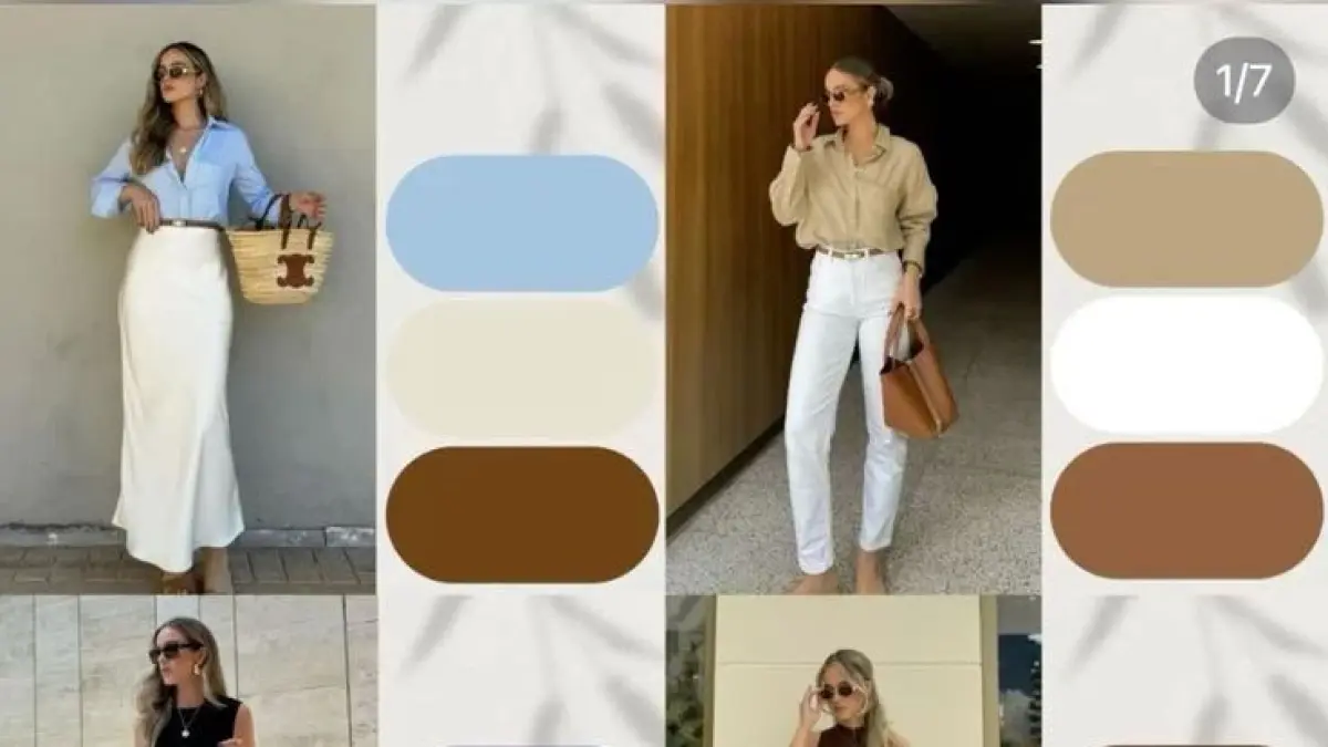 Ilustrasi Panduan Outfit Dengan Warna Yang Sedang Tren. (Foto : Pinterest)