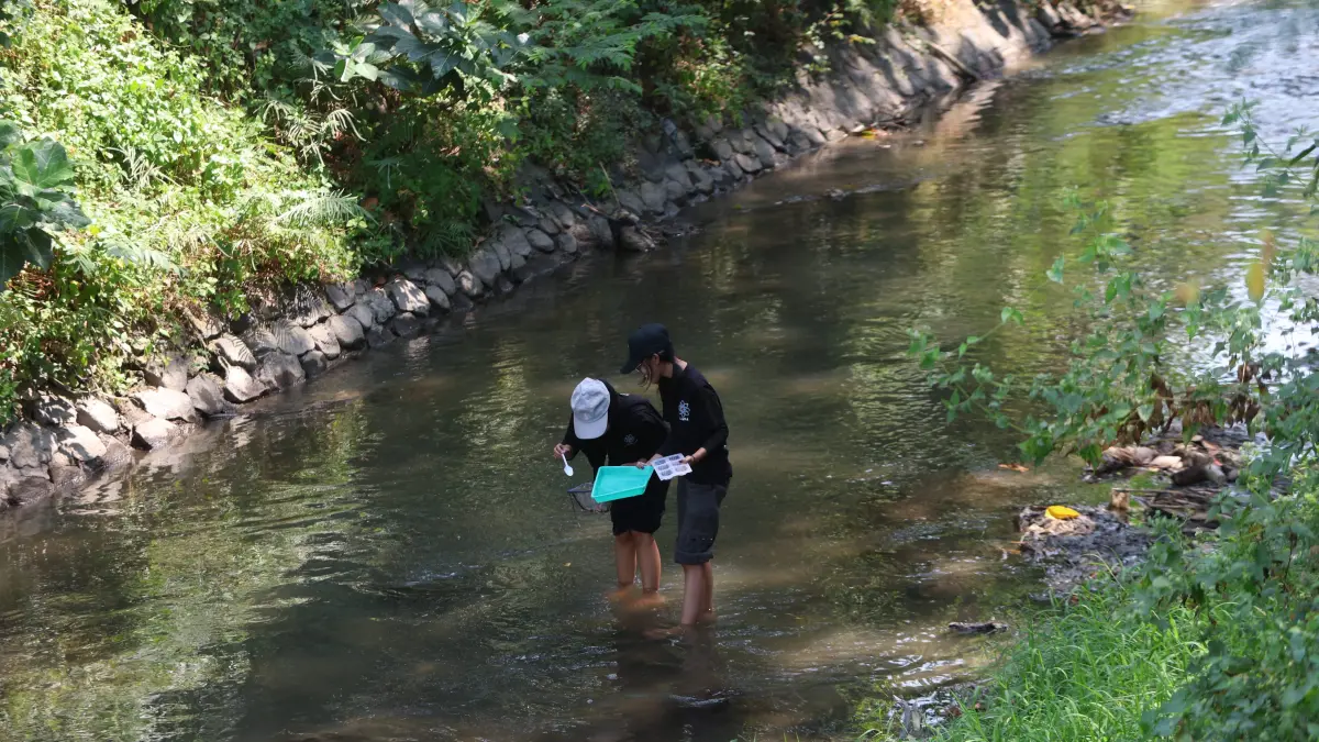 LIHAT DARI DEKAT: Mahasiswa UNP Kediri saat meneliti serangga air di aliran Sungai Kresek di Kelurahan Banjaran. Kondisi fisik sungai seperti tingkat endapan, vegetasi alami, hingga lebar dan panjang sungai turut mempengaruhi kadar oksigen di dalamnya. (Foto: Wahyu Adji)
