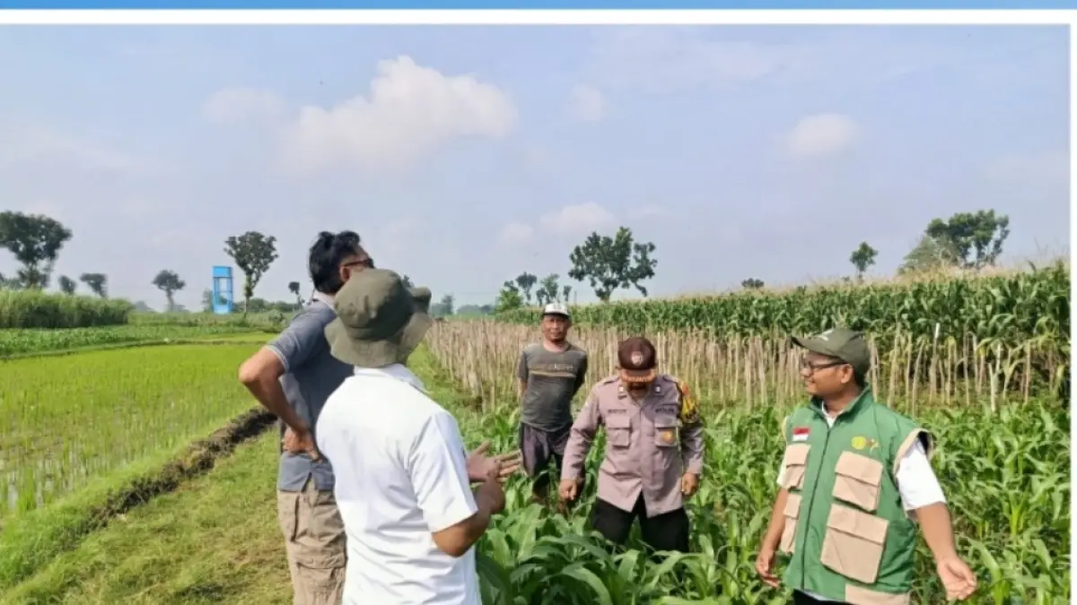 Kanit Binmas Polsek Kunjang dampingi Kelompok Tani Jagung dukung program ketahanan pangan.
