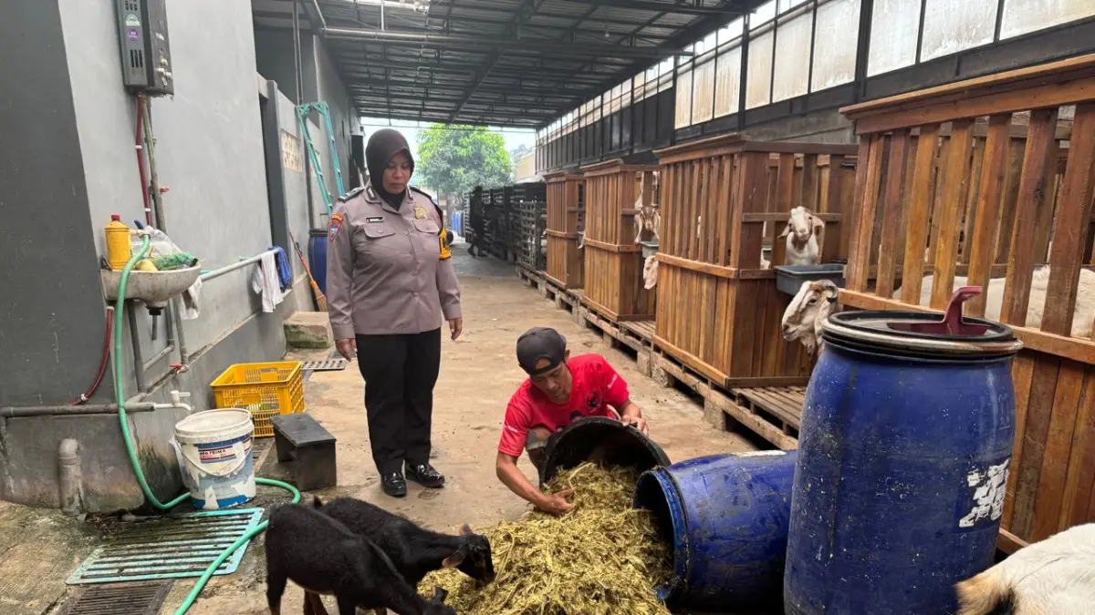 Polsek Ringinrejo saat pendampingan peternak.
