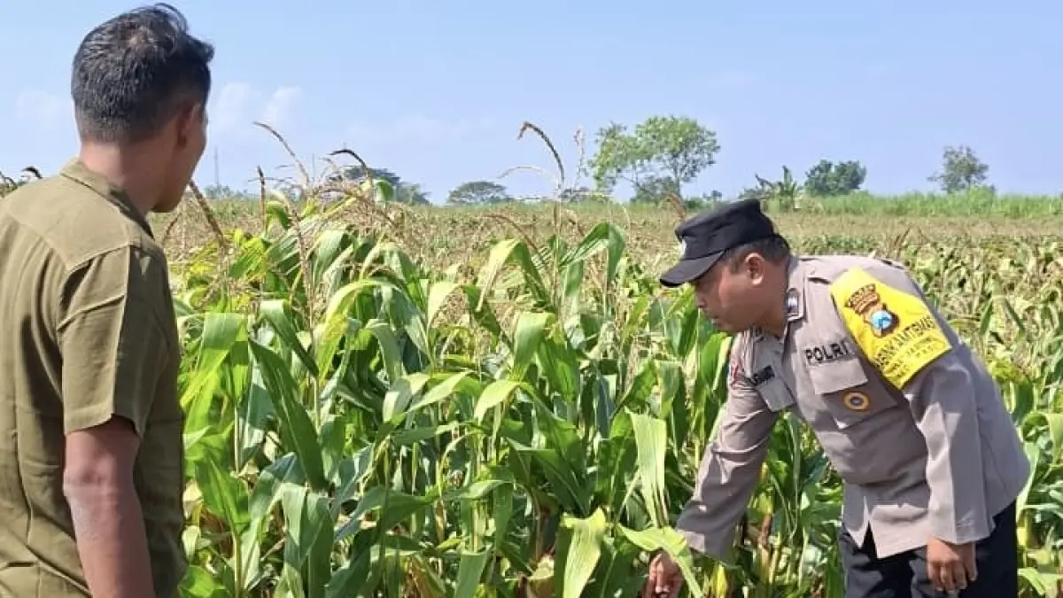 Polisi di Kediri saat melakukan pendampingan petani. 