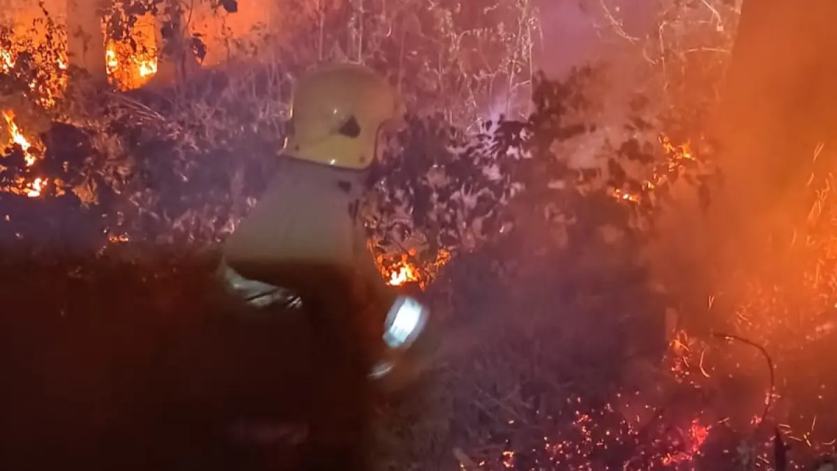 Diduga Berasal dari Bakar Sampah, Kebakaran Lahan Jati di Puhsarang Kediri Nyaris Hanguskan Kandang Sapi.
